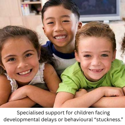 specialised support for children facing developmental delays or behavioural “stuckness.”