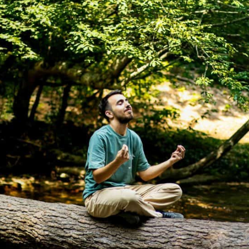 Home untitled design (4)